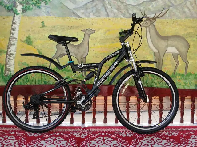Корейский алюминиевый велосипед, Душанбе