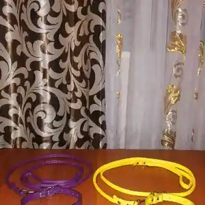 Ошейник с поводком, Душанбе