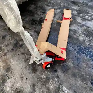 Рохля, Худжанд