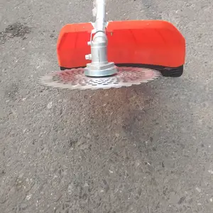 Газонокосилка, Душанбе