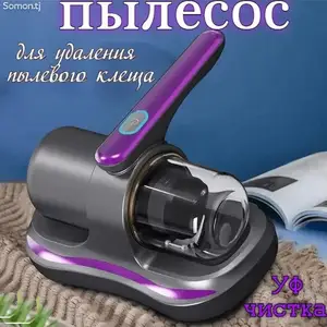 Пылесос для удаления пылевого клеща, Душанбе