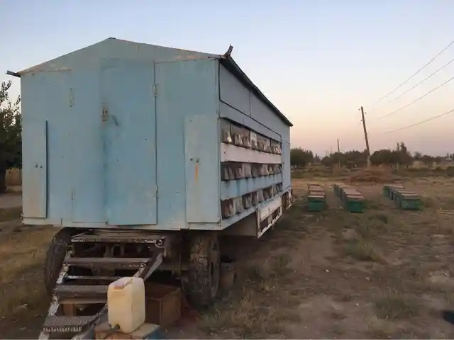 Прицеп павильон для пчел, Худжанд