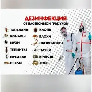 Дезинфекция мекунем, Душанбе