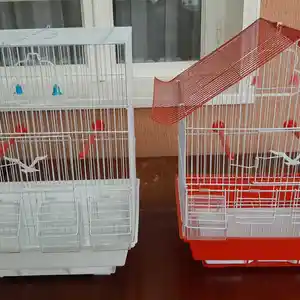 Клетка, Хуҷанд