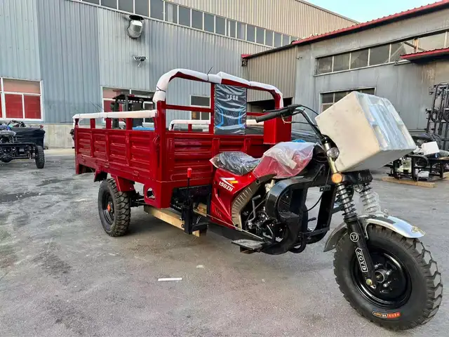 Трицикл, Душанбе