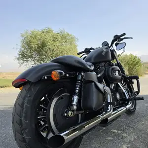 Мотоцикл Harley Davidson 883, Пенджикент