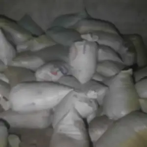 Поруи гов, Хуҷанд