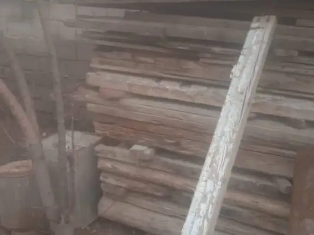 Дрова, Душанбе
