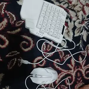Игровой набор, Рӯдакӣ