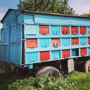 Вагони занбурпарвари, Бохтар (Курган-Тюбе)