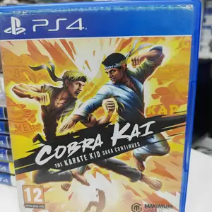Игра Cobra Kai для Playstation 4/5 CUSA18952, Душанбе