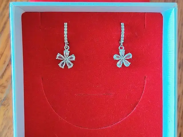 Серёжки из стали, Душанбе