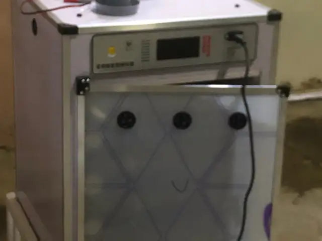 Инкубатор, Душанбе