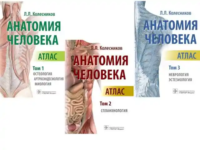 Атлас Анатомия человека на заказ, Душанбе
