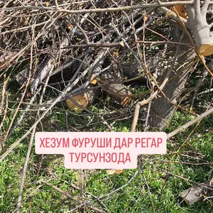Хезум, Турсунзаде