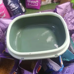 Лоток для кошек, Худжанд