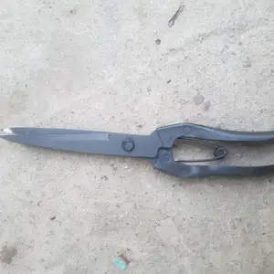 Кайчи гусфанд тарош, Душанбе