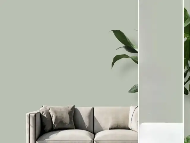 Краска силикон, Душанбе