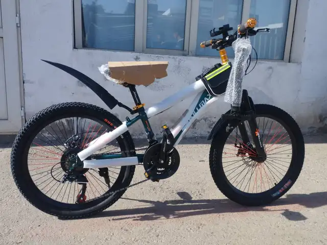 Велосипед, Душанбе
