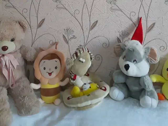 Мягкие игрушки, Душанбе