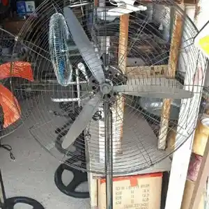 Вентилятор, Душанбе