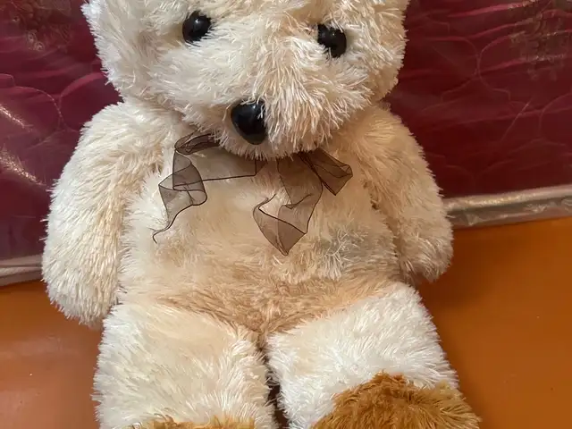 Мишка, Душанбе