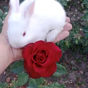 Харгушча 9км, Душанбе