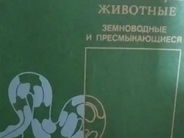 Книга Редкие и исчезающие животные, Душанбе