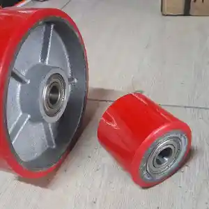 Рохля, Худжанд