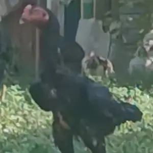 Дакан, Худжанд