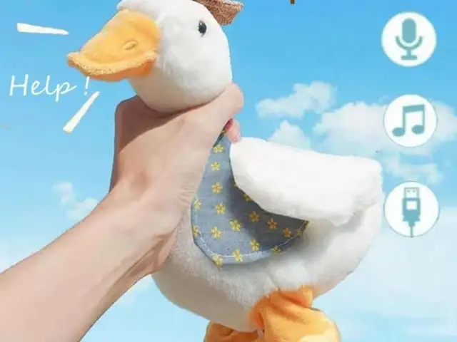 Игрушка Гусь, Истаравшан