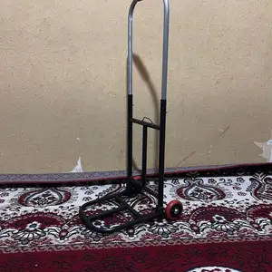 Тележка, Душанбе