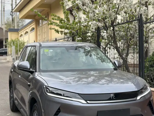BYD Yuan Up
