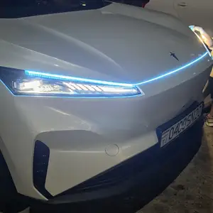 Dongfeng Hedmos 06