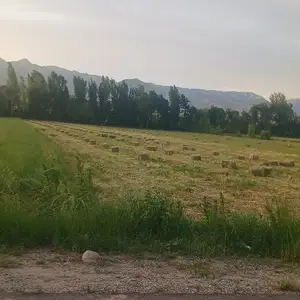 Пресси рушка, Вахдат