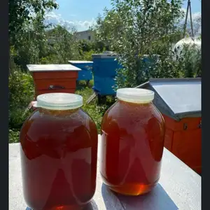 Асали кухи, Душанбе