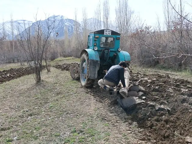 Трактор Т40, Панҷакент