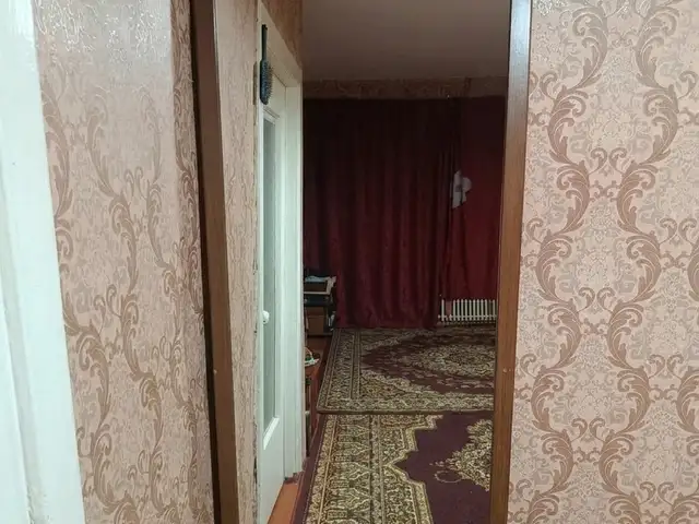 Ойна 2 метр, Душанбе