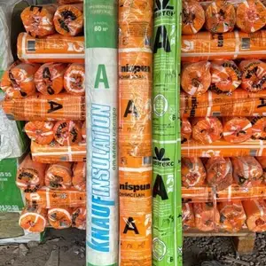 Изосран, Душанбе