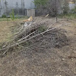 Хезуми, Душанбе