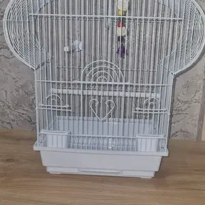 Клетка для попугаев, Душанбе