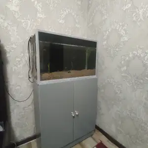 Аквариум, Худжанд