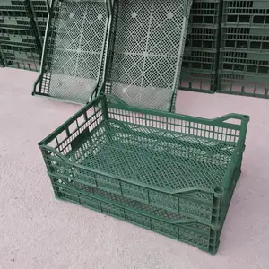 Ящик для фруктов, Худжанд