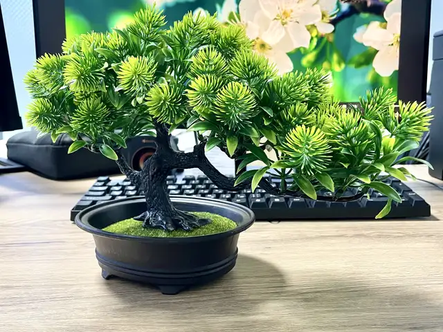 Искусственное дерево, Душанбе
