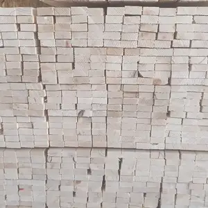 Рейка, Душанбе