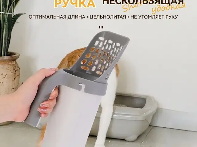 Савок для лотка, Душанбе