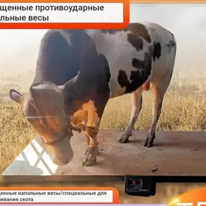 Тарозу, Душанбе