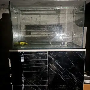 Аквариум с тумбочкой, Душанбе
