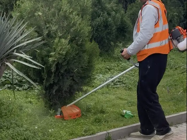 Алафдарави бо аппарат, Душанбе