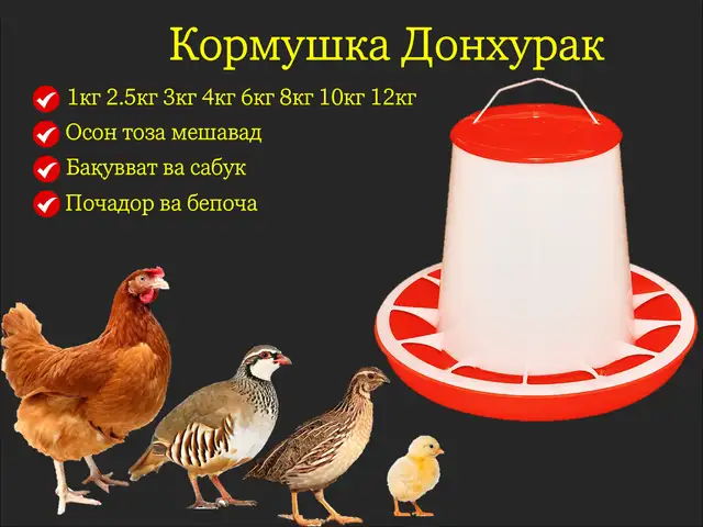 Кормушка/Донхураки мурғ чуҷа кабк бройлер, Душанбе